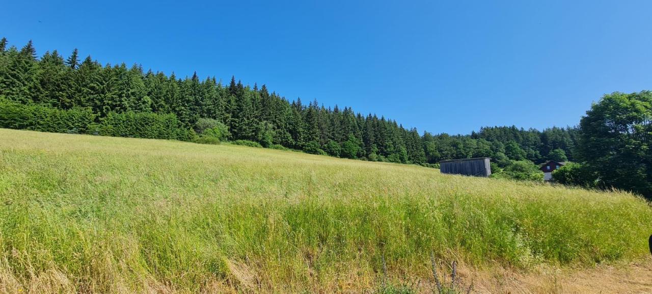 Appartement Ferienhaus Romy à Hohenfels-Essingen Extérieur photo